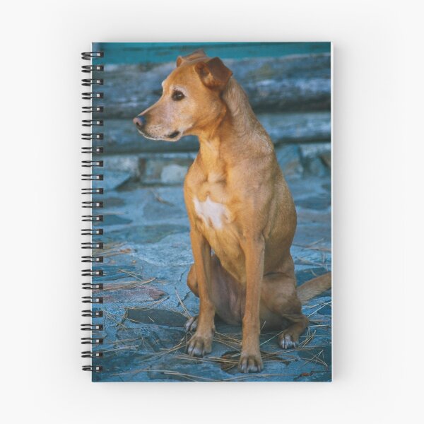 Item preview, Foxie Roxie designed and sold by Nancy Stafford.