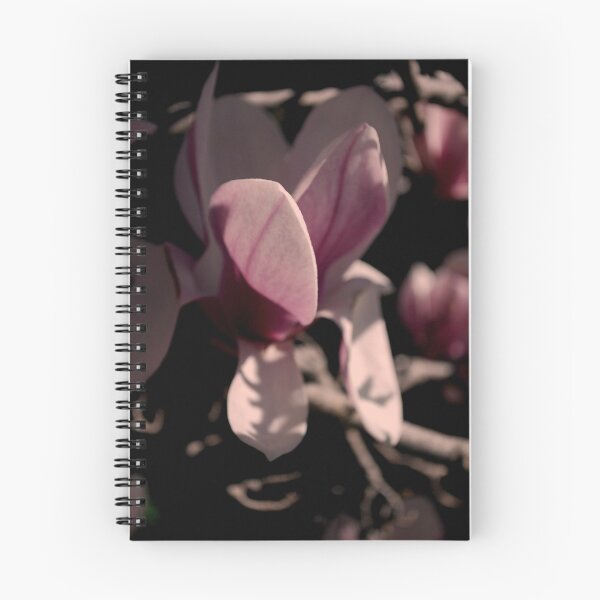 Item preview, Enriching Moments designed and sold by Lozzar Flowers & Art.