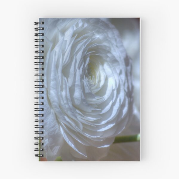 Aperçu de l'œuvre White... créée et vendue par GerryMac.