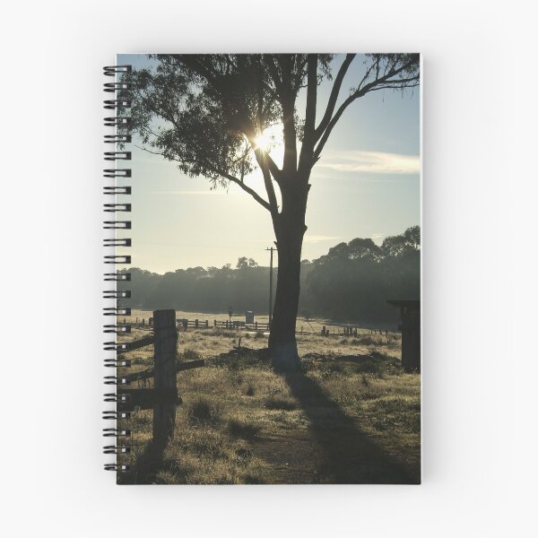 Item preview, Glimpses Of The Sun Through The Branches designed and sold by Laura K Wright.
