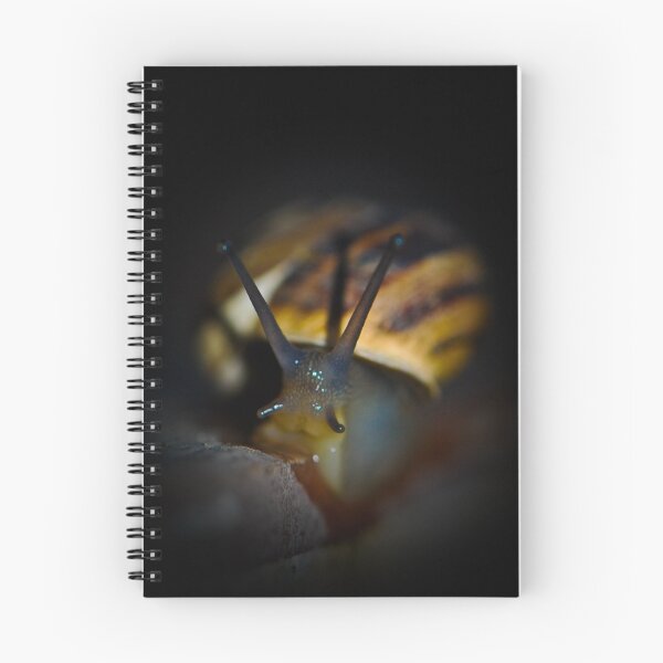 Item preview, A Snails life designed and sold by TheTwinBros.
