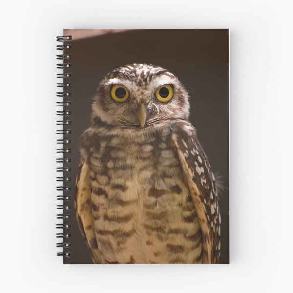 Item preview, Stare designed and sold by ejlinkphoto.