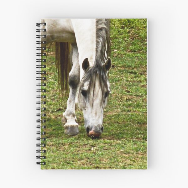 Item preview, The Not-so-Wild Stallion designed and sold by Sarah Trent.