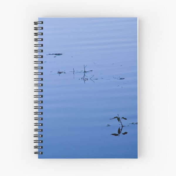 Item preview, Equilibriate Stillness designed and sold by Andrew Simoni.