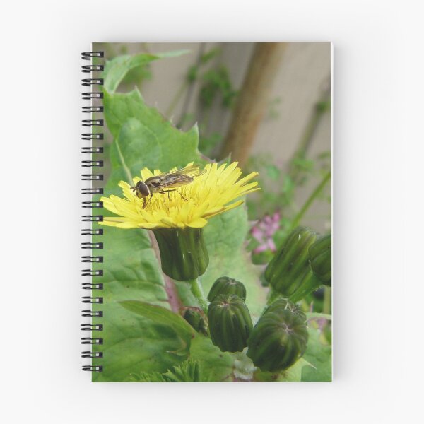 Item preview, Hover Fly on Milk Thistle Flower designed and sold by elsha.