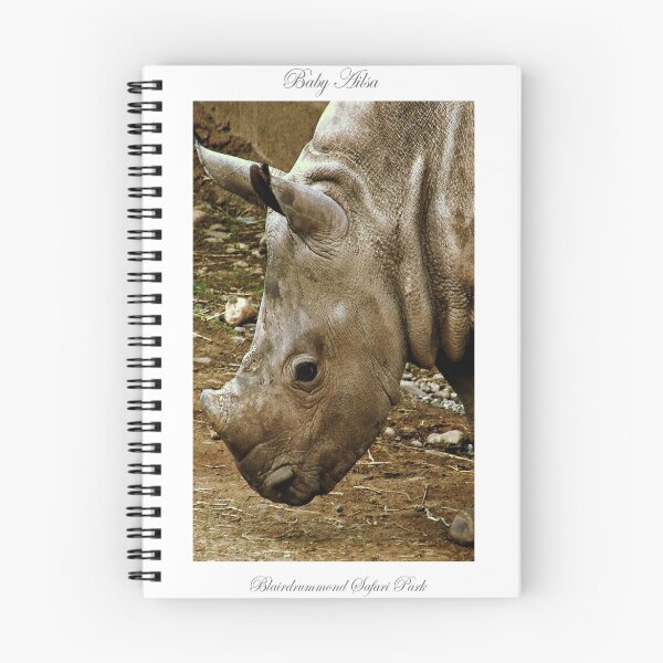 Item preview, Ailsa The Baby Rhino. designed and sold by Aj Finan.