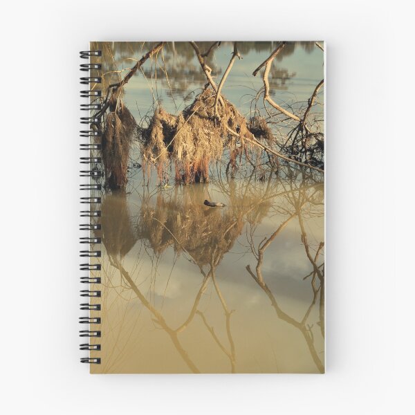 Item preview, After the Flood designed and sold by Lorraine McCarthy.