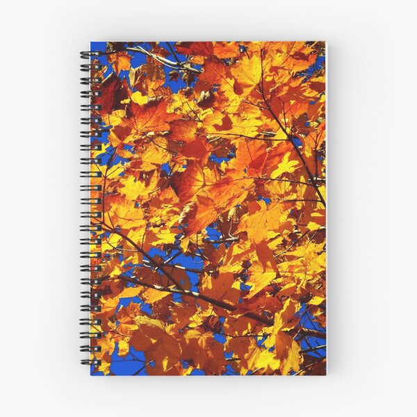 Item preview, Indian Summer ... designed and sold by Juergen Weiss.
