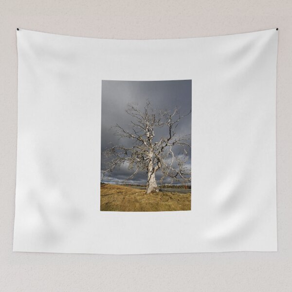 Item preview, Forsaken ~ in colour designed and sold by sarah ward.