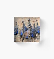 Fowls Acrylic Block