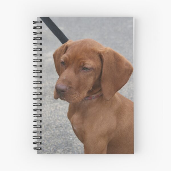 Item preview, Concentrating. designed and sold by froglet.