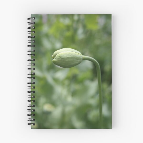 Item preview, Strength. designed and sold by froglet.