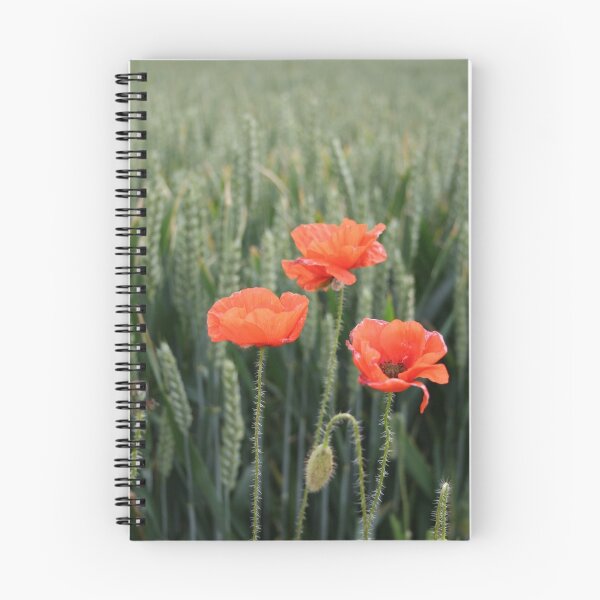 Artikelvorschau, Poppies. entworfen und verkauft von froglet.