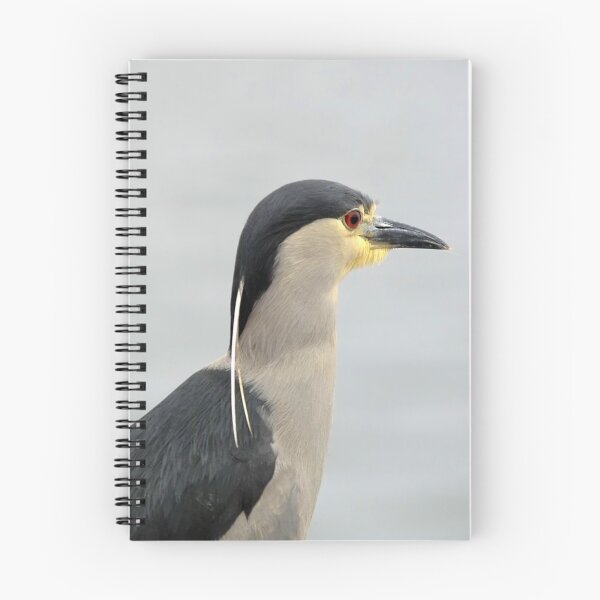 Item preview, Heron Falklands designed and sold by skanner30.
