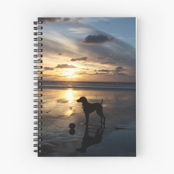 Item preview, Semper at Sunset designed and sold by lhyland.