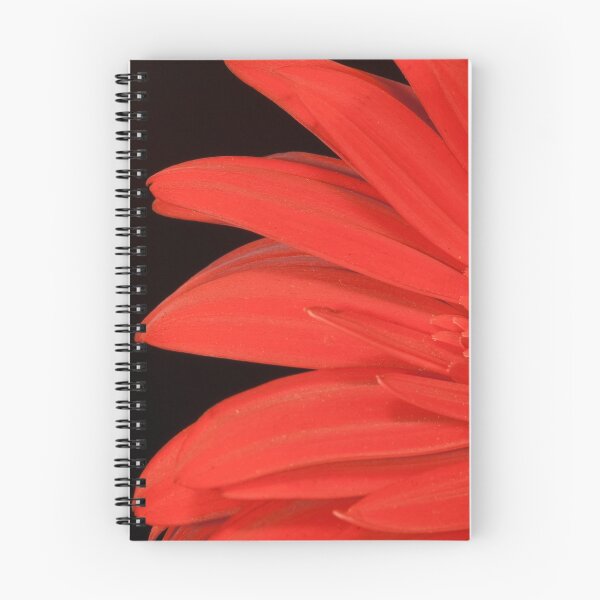 Item preview, Después de ver dónde se iban a mostrar las imágenes, decidí un tema 'ROJO'.
Esta es una de las imágenes finales. designed and sold by ImagesbyDi.