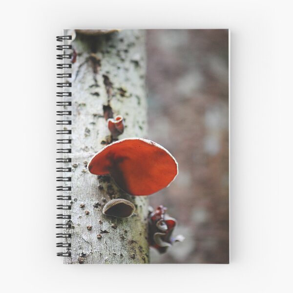 Item preview, Auricularia cornea designed and sold by Erin Anderson.