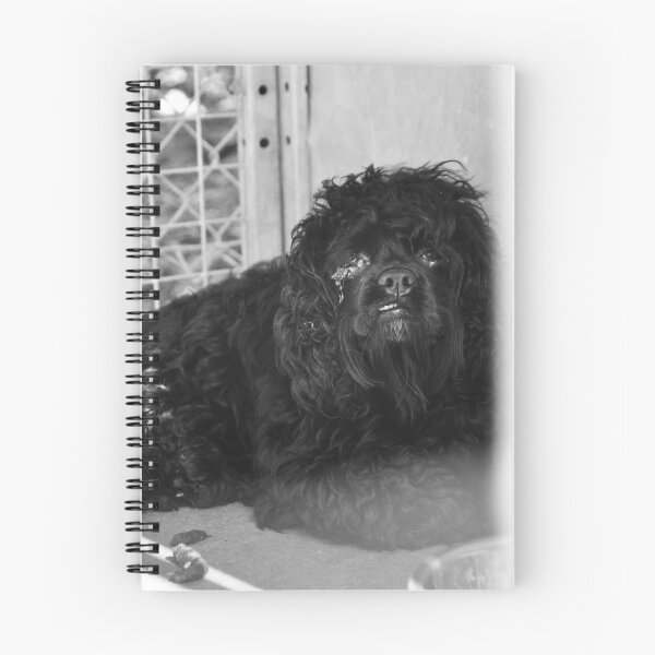 Item preview, When Dogs Cry designed and sold by SamTheCowdog.