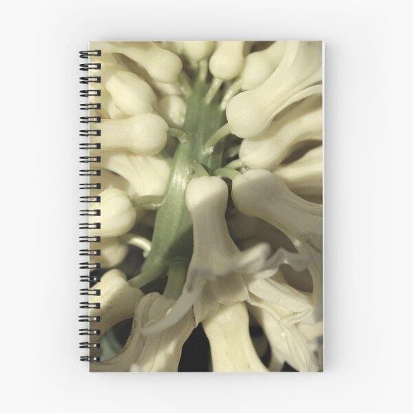 Item preview, Hyacinth Macro designed and sold by Lozzar Flowers & Art.