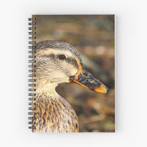 Item preview, Mallard duck designed and sold by GreyFeatherPhot.