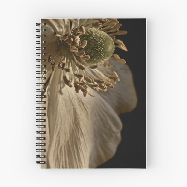 Item preview, Centre Stage designed and sold by Dianne English.
