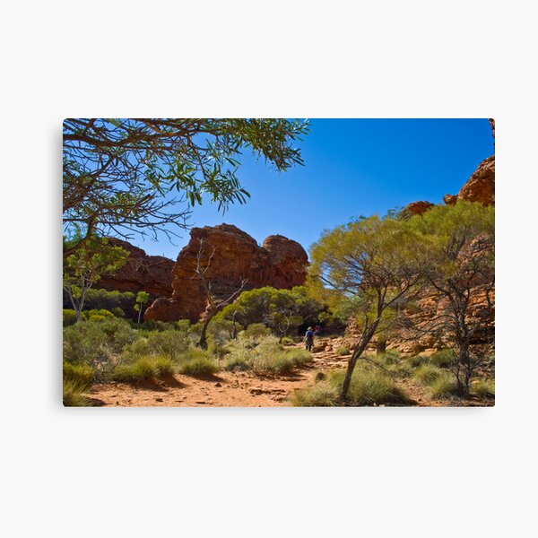 Item preview, Walking in King's Canyon designed and sold by pennyswork.