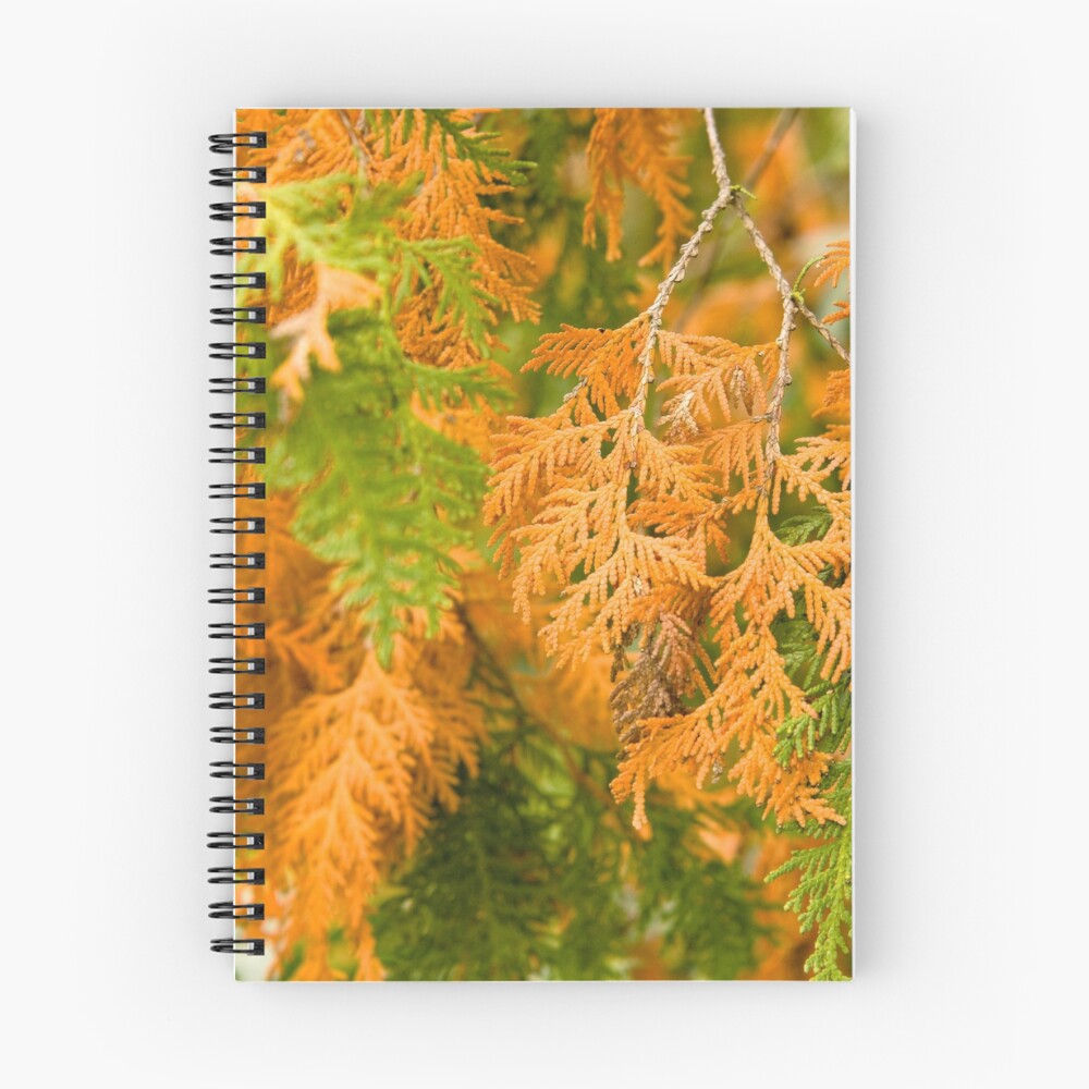 Item preview, Spiral Notebook designed and sold by SCPhotography.