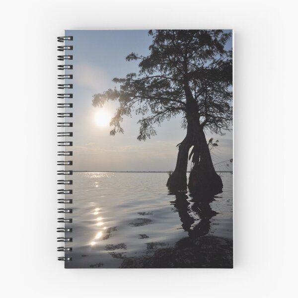 Item preview, Cypress Sun! designed and sold by Michele Conner.