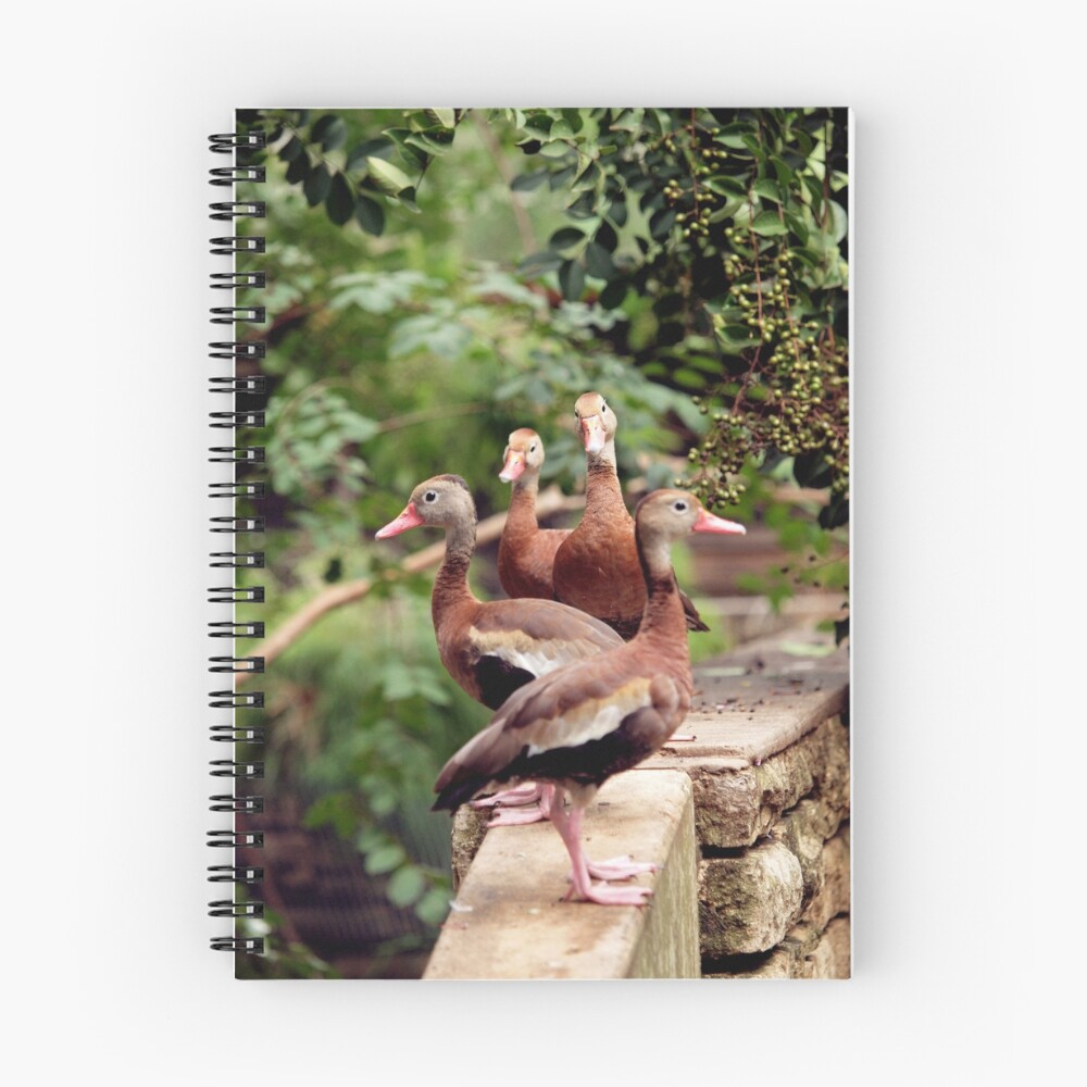 Item preview, Spiral Notebook designed and sold by saxonfenken.