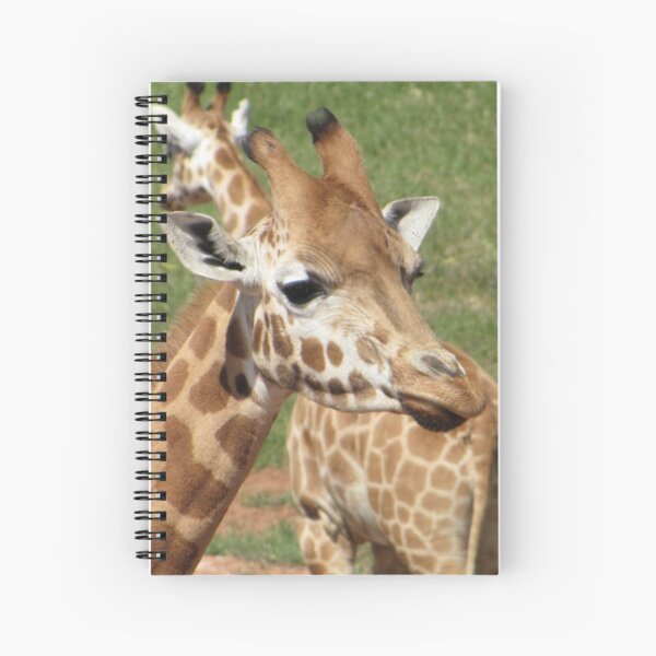 Giraffes - which way should we go? Spiral Notebook