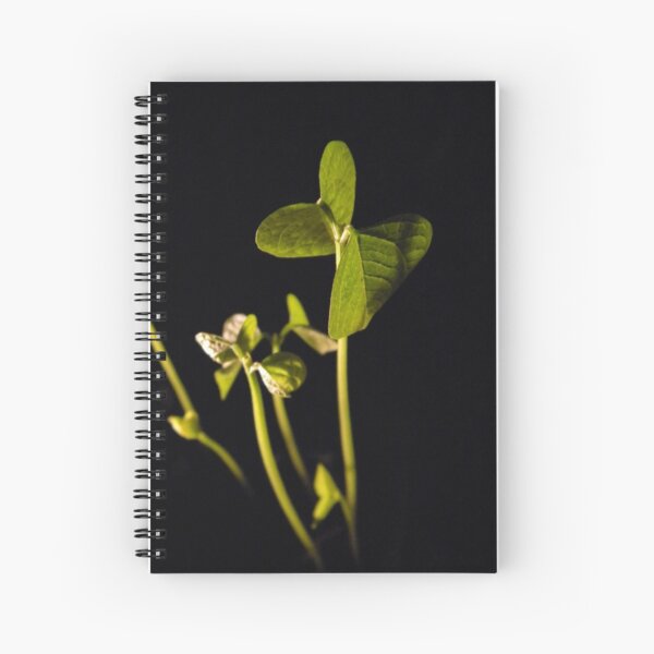 Adzuki Bean Shoots Spiral Notebook