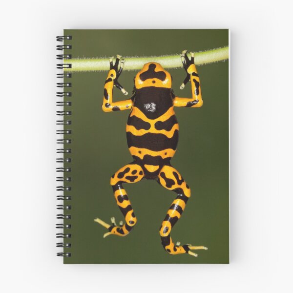 Item preview, Hang In There designed and sold by Janet Fikar.