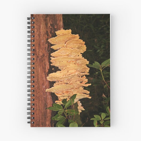 Item preview, Fungus Amongus designed and sold by Chelei.