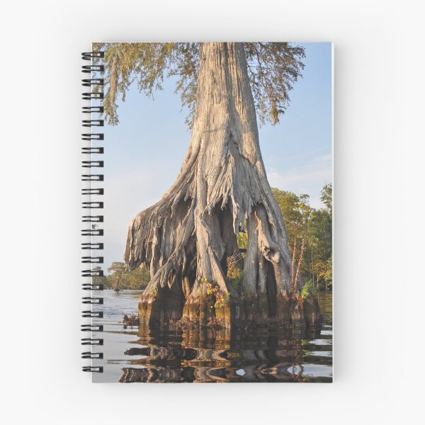 Item preview, Son what a tree! designed and sold by Michele Conner.