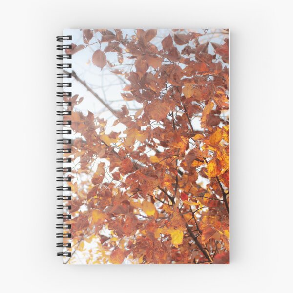 Item preview, Colors of Fall 2018 designed and sold by Troy Stapek.