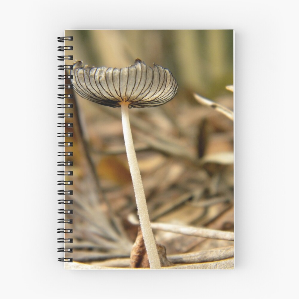Item preview, Spiral Notebook designed and sold by helenabolle.
