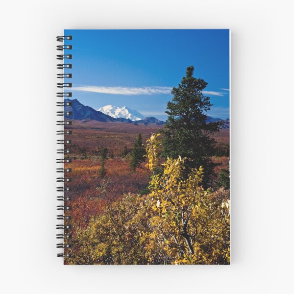 Aperçu de l'œuvre Denali Couleurs créée et vendue par Joe Scialabba.