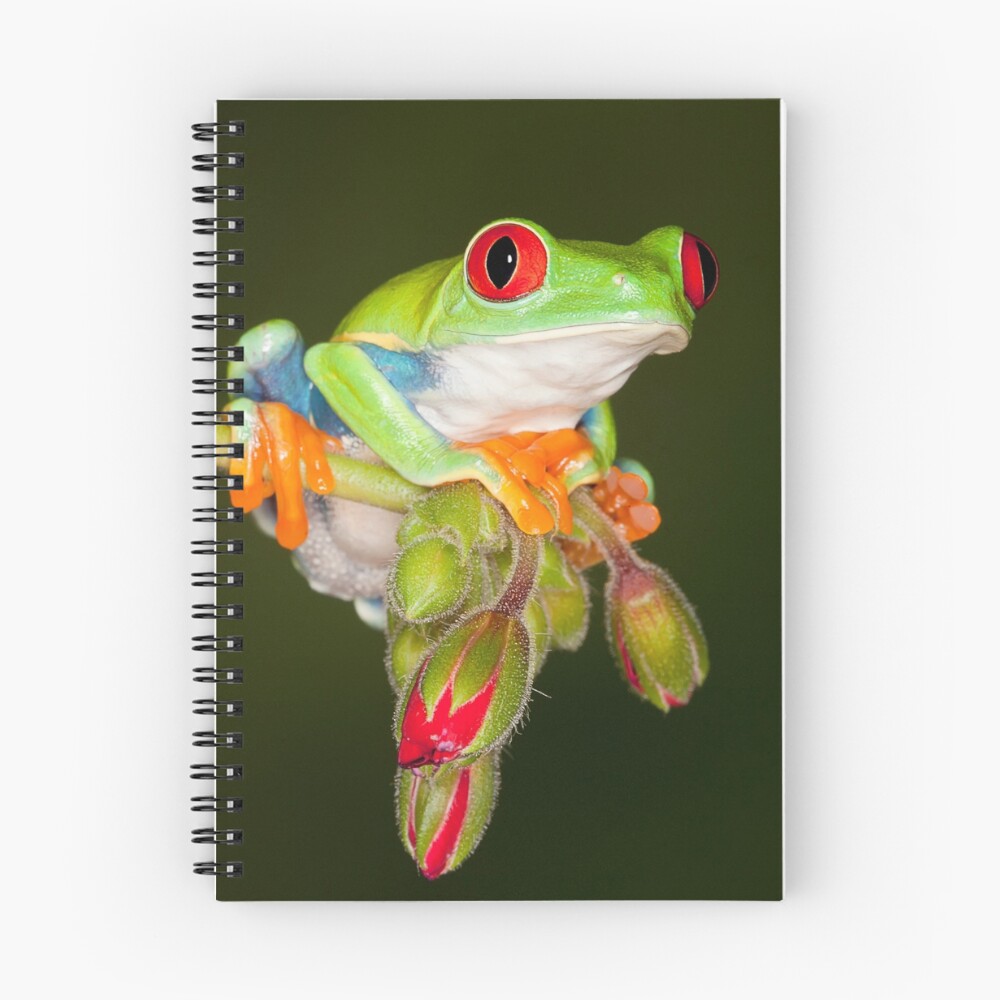 Item preview, Spiral Notebook designed and sold by joldaker.