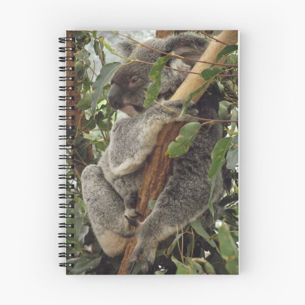 Item preview, koala designed and sold by Gaylene Norton.