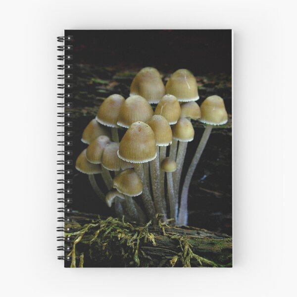 Item preview, Young Brown Mycena designed and sold by Carla Wick/Jandelle Petters.