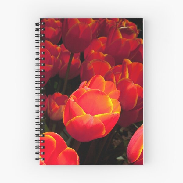 Artikelvorschau, red tulips entworfen und verkauft von mark burban.
