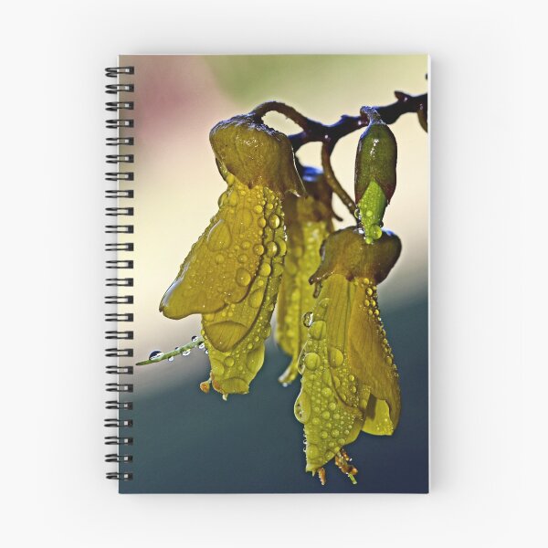 Item preview, "Kowhai, New Zealands National Flower ..." designed and sold by Rosehaven.