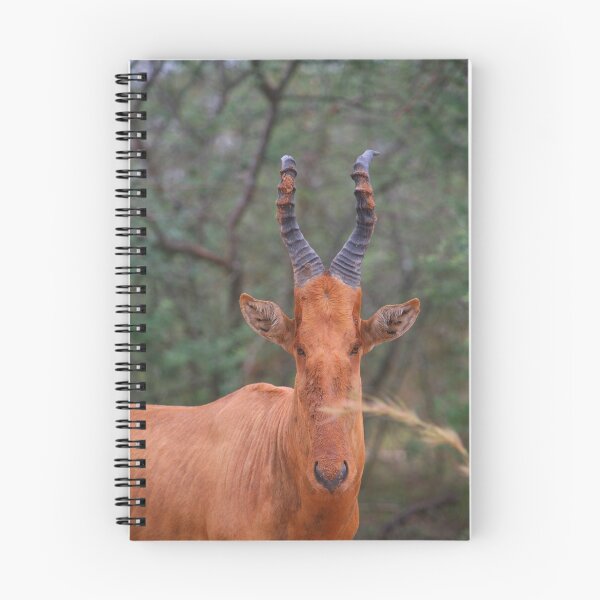 Item preview, Why the Long Face? - Hartebeest designed and sold by naturalnomad.