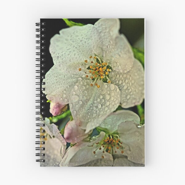 Item preview, "Glorious Cherry Blossom ..." designed and sold by Rosehaven.