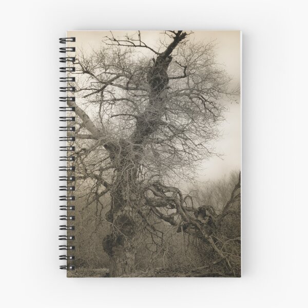 Item preview, The old Ash designed and sold by El Gran Toñeti.