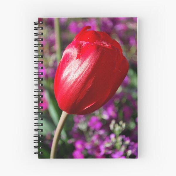 Item preview,  Splash of Spring designed and sold by Lozzar Flowers & Art.