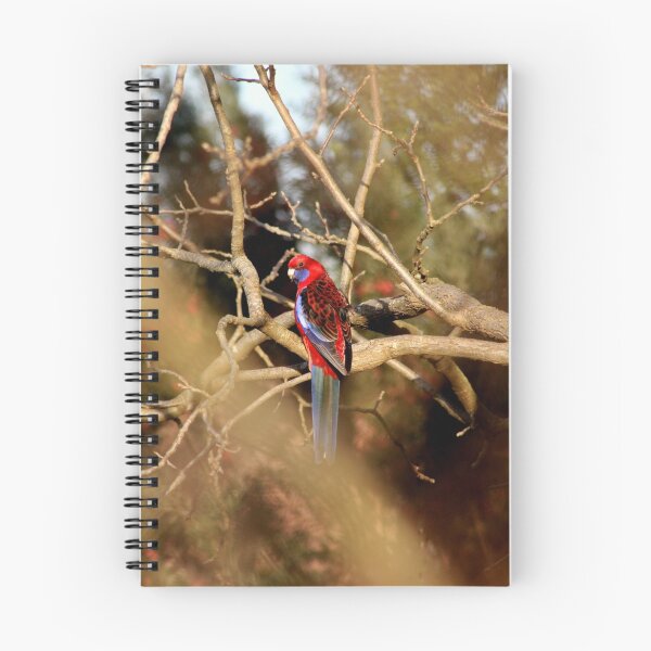 Item preview, Crimson Rosella designed and sold by Robert Jenner.