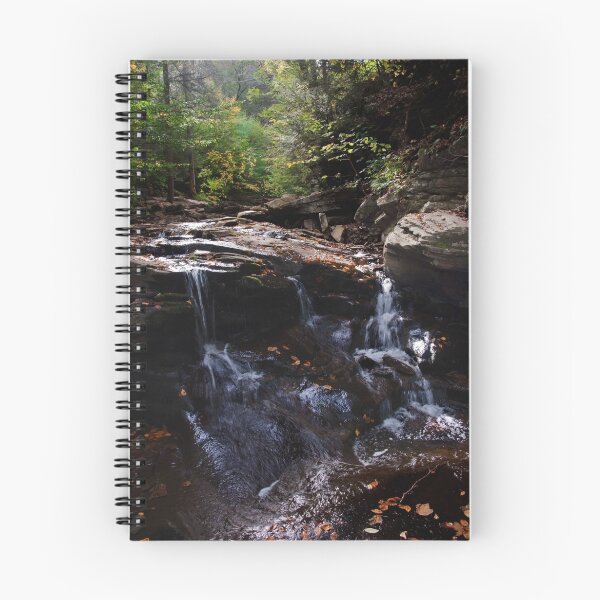 Item preview, Conestoga Falls  designed and sold by Debra Fedchin.