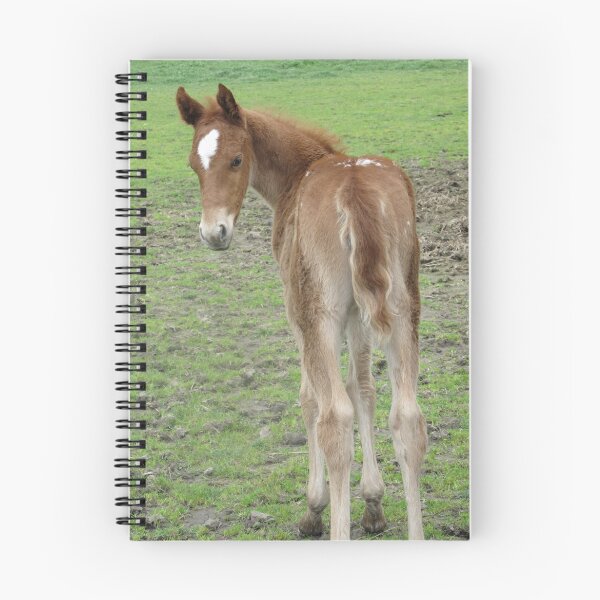 Item preview, Skyhorse Lakota Morn designed and sold by Skyhorse.