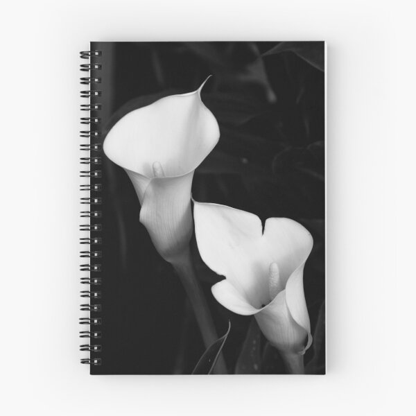 Artikelvorschau, Calla Lily In Schwarz und Weiß entworfen und verkauft von John Honeyman.